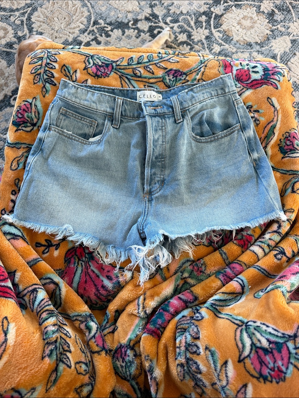 Cello Light Blue Distressed Denim Cutoff Shorts